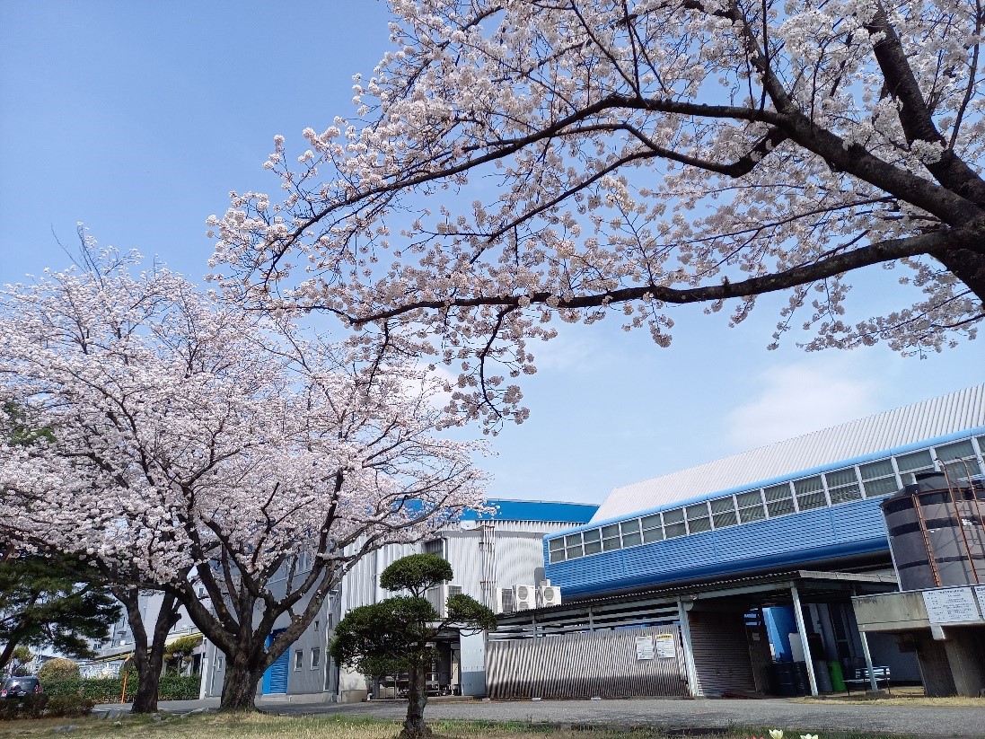 弊社 東松山工場 中庭